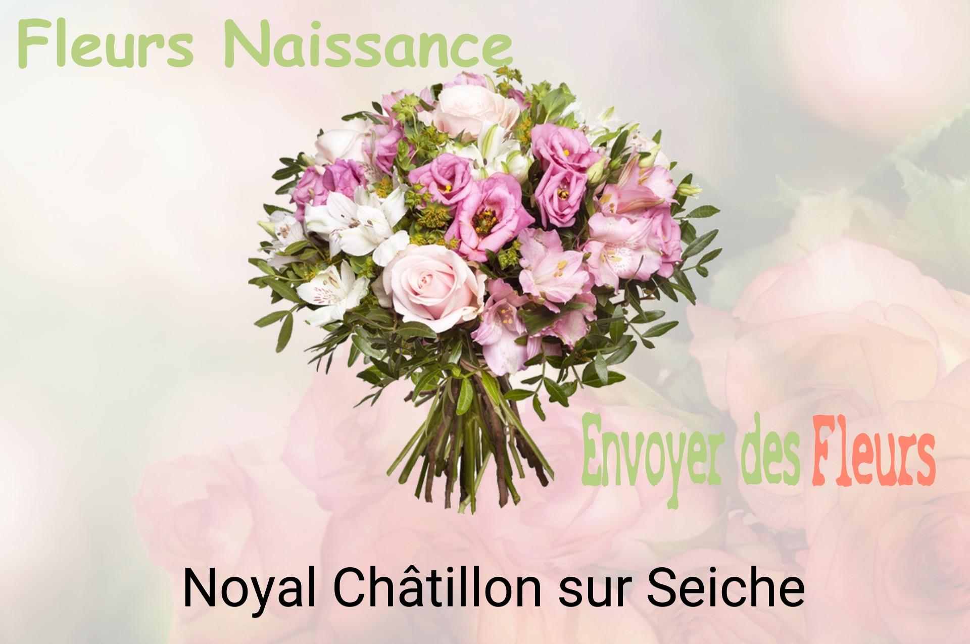 Bouquet de fleurs de naissance livré à Noyal-Châtillon-sur-Seiche