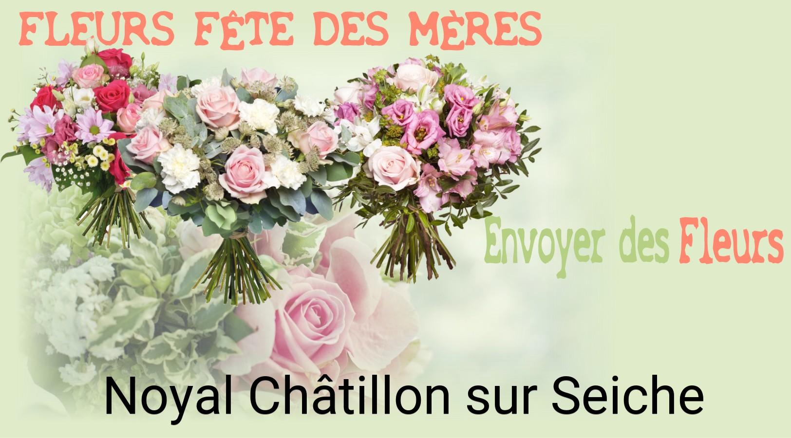 Bouquet de Fête des Mères livré à Noyal-Châtillon-sur-Seiche